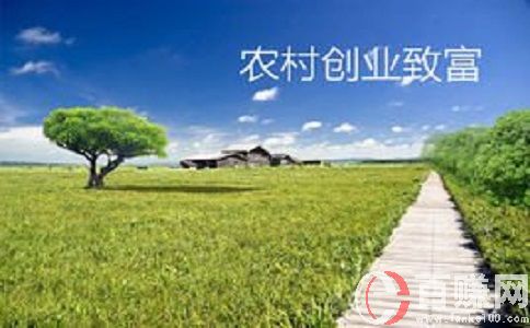 八個適宜在農村創業致富的項目!趕緊來看看! 第2張 八個適宜在農村創業致富的項目!趕緊來看看! 第2張